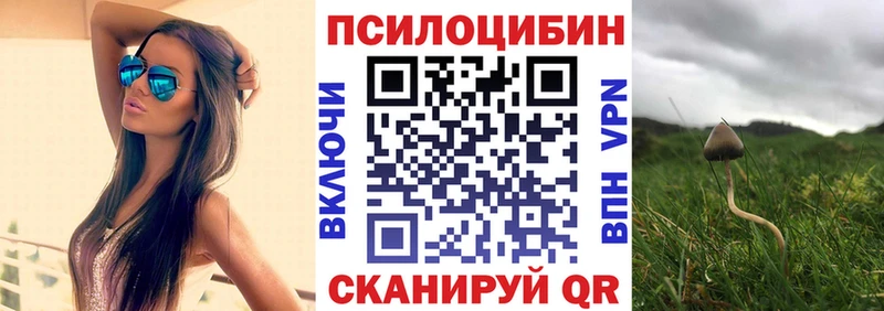 Галлюциногенные грибы мицелий  Красноярск 