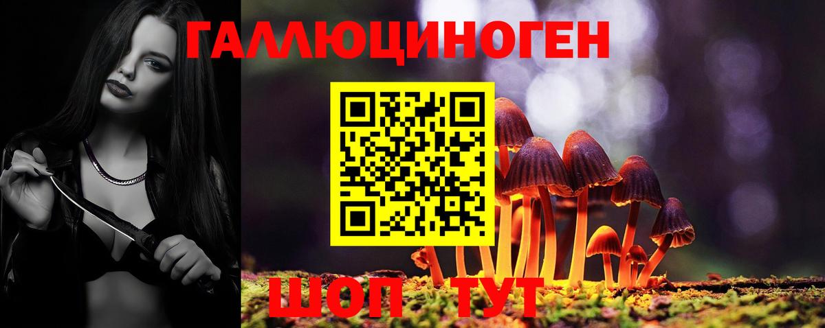 Красноярск  Псилоцибиновые грибы Cubensis  Вход с VPN  Псилоцибиновые грибы MAGIC MUSHROOMS 